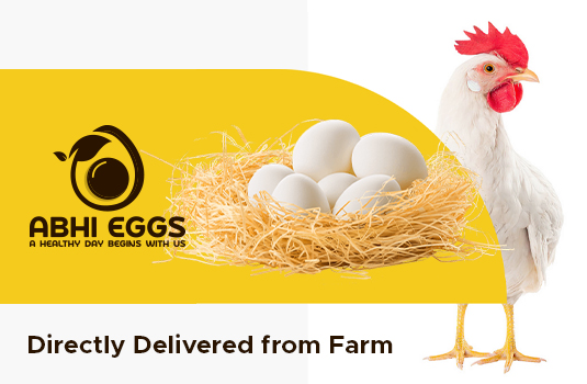 abhieggs, eggs, hen, ecommerce
