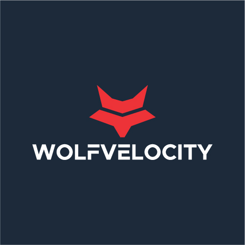 audio, headset, wired, wireless, headphone, wolf